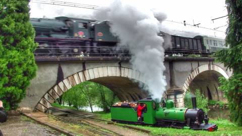 20160522185724 (10)   RR Guy Ceyzeriat  loco 231P17 a gauche du pont avec la Fernande